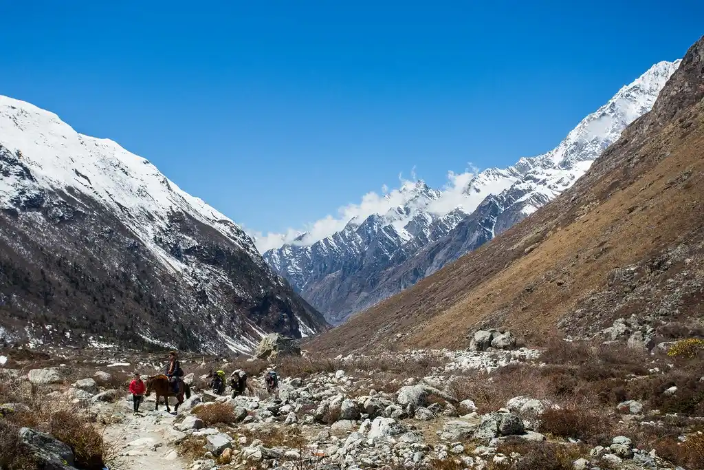 Langtang Valley Trek: The Ultimate Guide (2025)