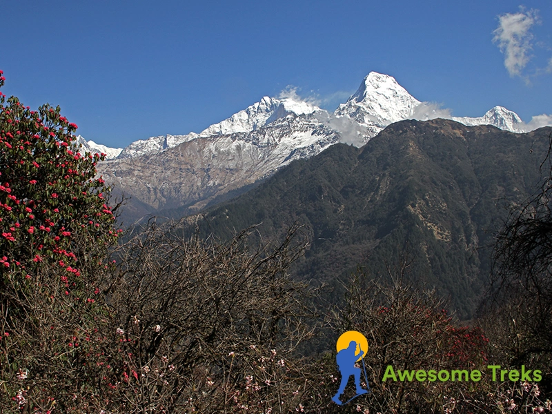Ghorepani Trek for family friendly trek in nepal