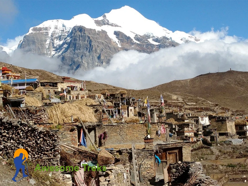 Nar-Phu Valley Trek